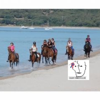 balade et baignade à cheval à Furiani