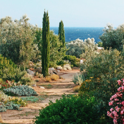 Activité: 🦋👦🏽🌻PARC DE SALECCIA 👧🏽🐓🌷