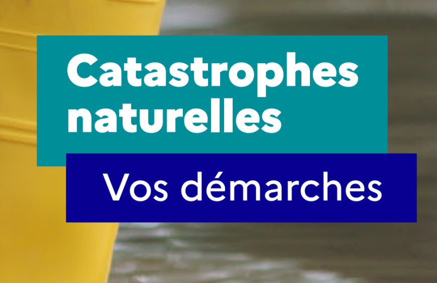 Catastrophes naturelles : vos démarches